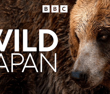 Wild Japan