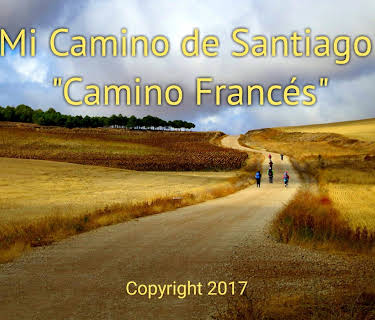 Mi Camino de Santiago "Camino Francés" (2017)