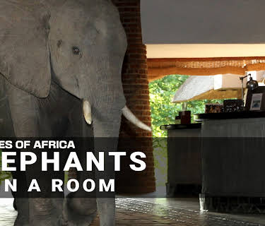 Stories of Africa: Elephants in the Room (2022)