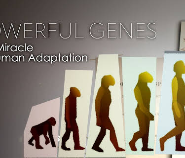 Powerful Genes: The Miracle of Human Adaptation (2026)