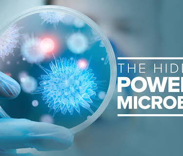The Hidden Power of Microbes