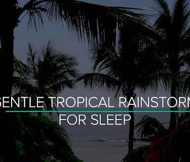 Gentle Tropical Rainstorm for Sleep 9 Hours
