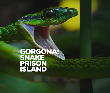 Gorgona: Snake Prison Island (2022)