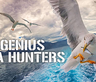 Genius Sea Hunters