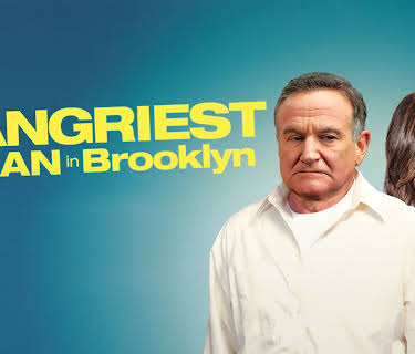 The Angriest Man In Brooklyn (2014)