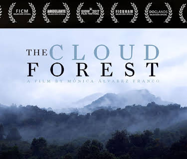 The Cloud Forest (2017)