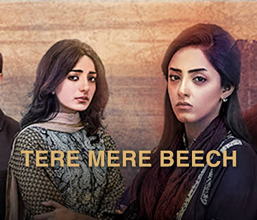 Tere Mere Beech