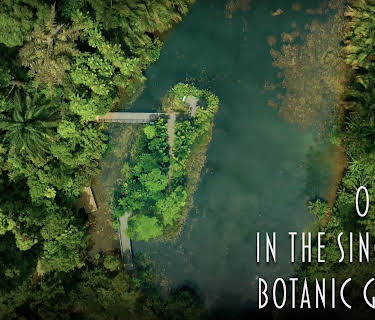 One Year In the Singapore Botanic Gardens