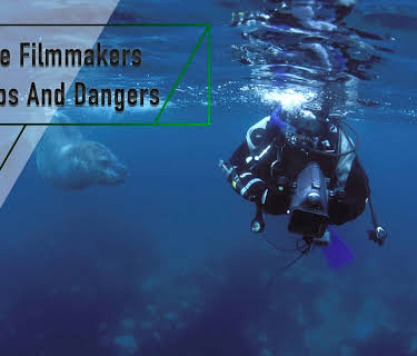 Wildlife Filmmakers - Mishaps And Dangers (2004)