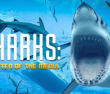 Sharks: Monster of the Media (2019)