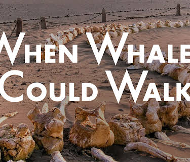 When Whales Could Walk (2024)