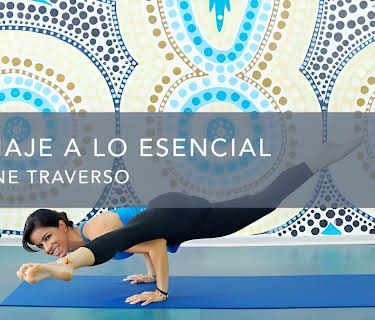 Un Viaje a lo Esencial (2016)