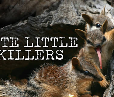 Cute Little Killers (2025)