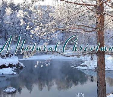 A Natural Christmas (2024)