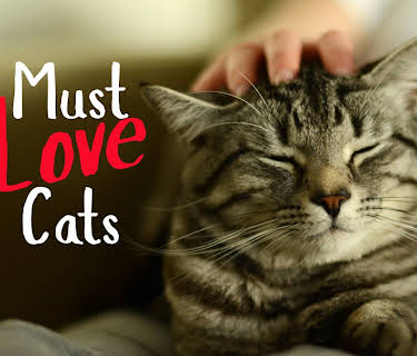 Must Love Cats