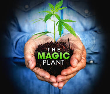 The Magic Plant (2022)