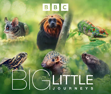 Big Little Journeys