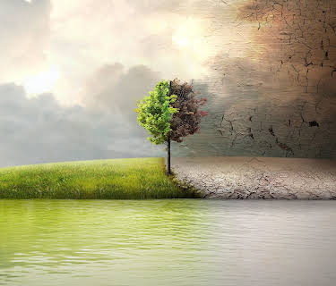 Before the Flood (2016)