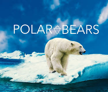 Polar Bears (2020)