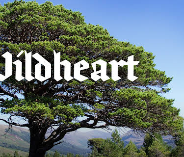 WildHeart (2023)