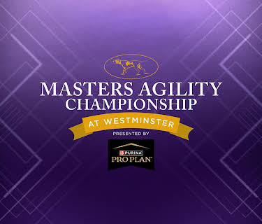 The Masters Agility Championship at Westminster Season 13