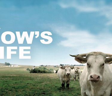 A Cow's Life (Silent) (2014)