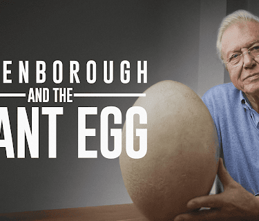 Attenborough and the Giant Egg (2011)
