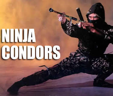 Ninja Condors (1987)