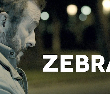 Zebra (2014)