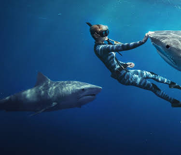 Shark Whisperer (2025)