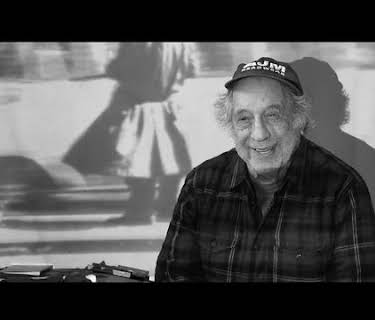 Don't Blink - Robert Frank (2017)