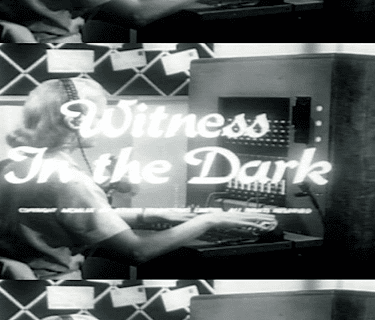Witness in the Dark (2008)