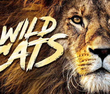 Wild Cats (Season 1)