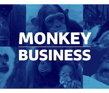 Monkey Business