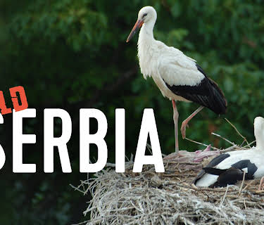 Wild Serbia (2013)