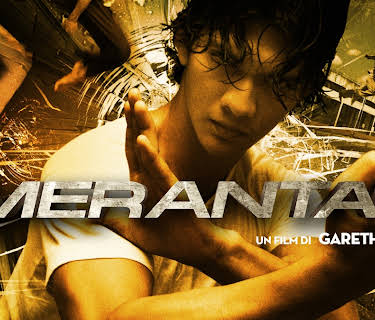 Merantau Warrior (2009)