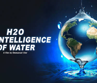 H2O: The Intelligence of Water (2025)