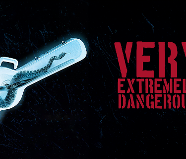 Jerry Mcgill: Very Extremely Dangerous (2012)