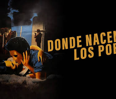 Donde nacen los pobres (1950)