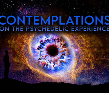 Contemplations: On the Psychedelic Experience (2022)