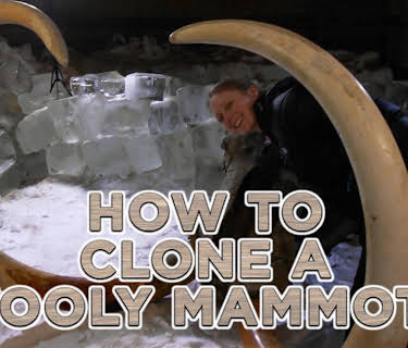 How to Clone a Woolly Mammoth