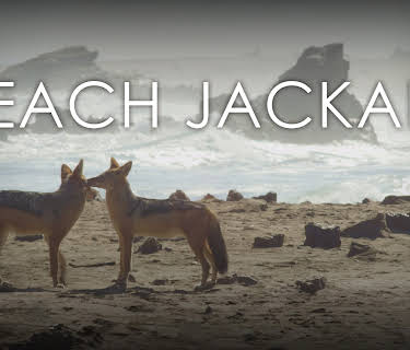 Beach Jackals (2020)