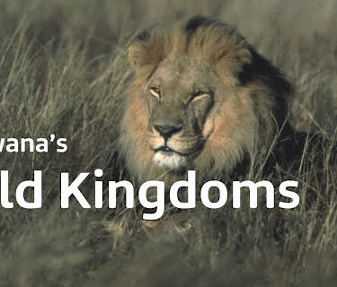Botswana's Wild Kingdoms