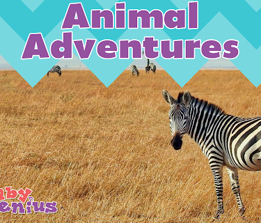 Baby Genius: Animal Adventures