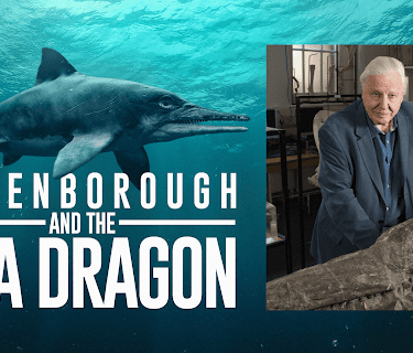Attenborough & The Sea Dragon (2018)