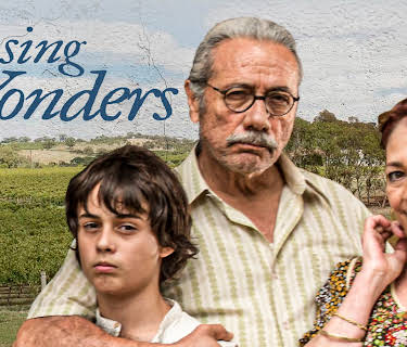 Chasing Wonders (2021)