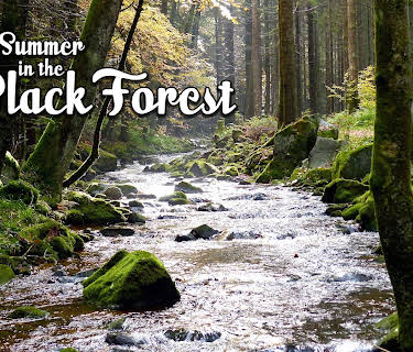 Summer in the Black Forest
