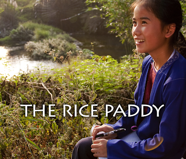 The Rice Paddy (2012)