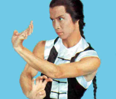 Fearless Golden Dragon (1975)