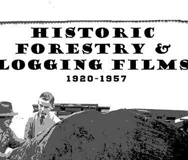 Historic Forestry & Logging Films 1920-1957 (2011)